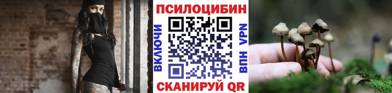 Купить закладки  Фурманов  Псилоцибиновые грибы Cubensis 